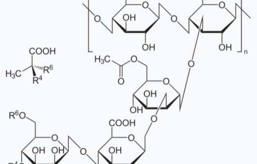 Xanthangum | Domestic Science