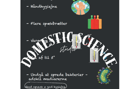 Hygiejne med vandmaerke | Domestic Science